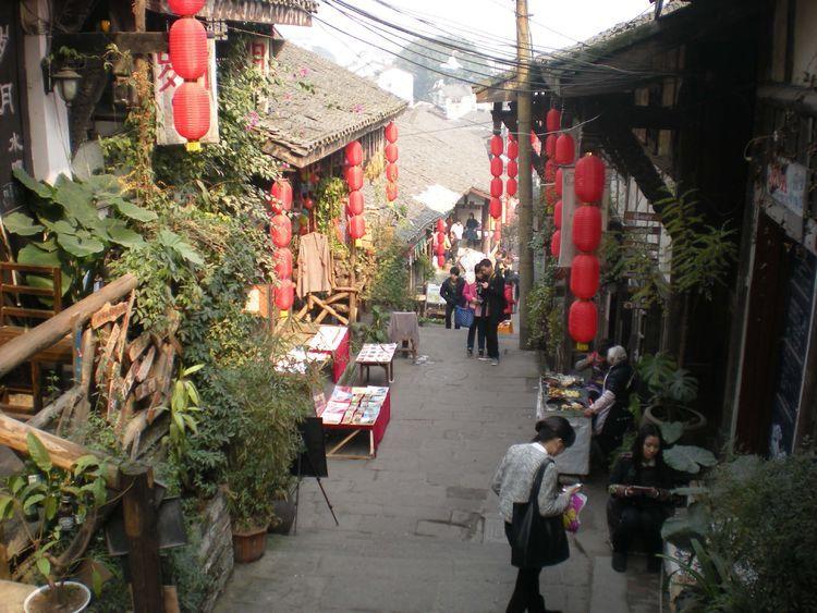 逗小猴开心系列194